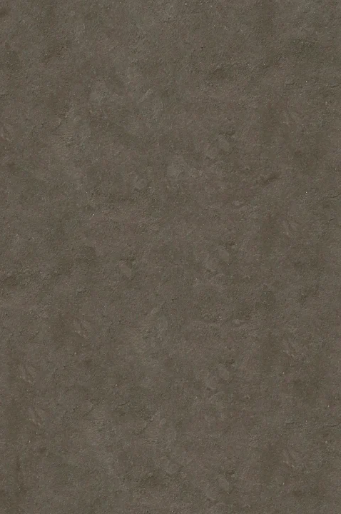 royal gray