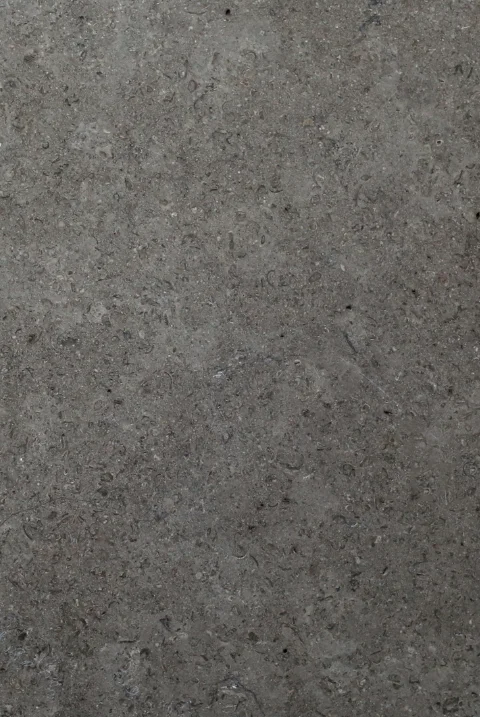 terista grey