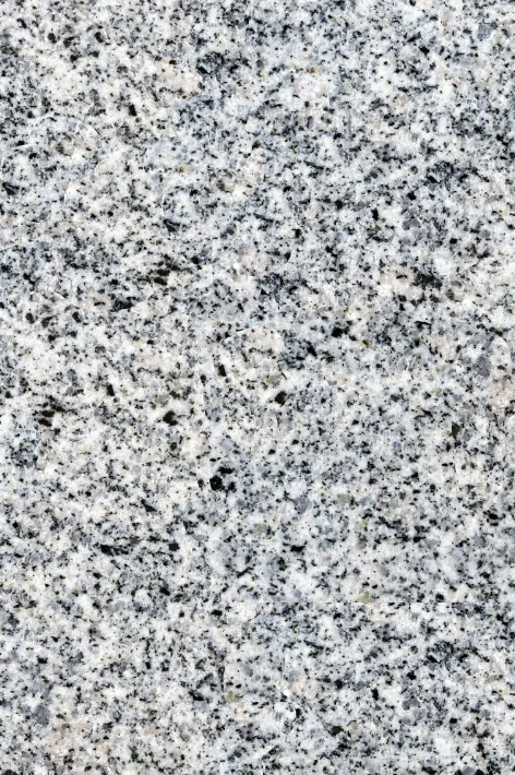 white safaga