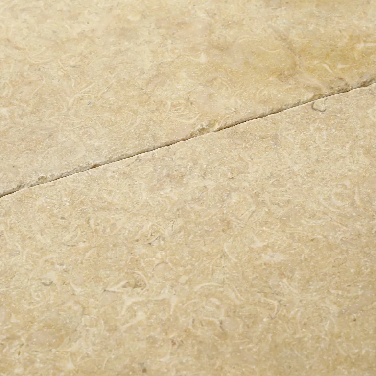 sunny menia tumbled